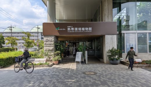 【日本一周1日目】板橋区熱帯環境植物館