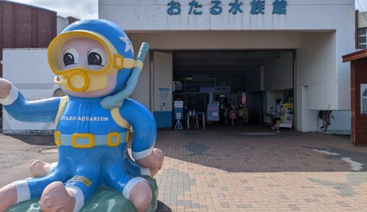 【日本一周18日目】神威岬とおたる水族館
